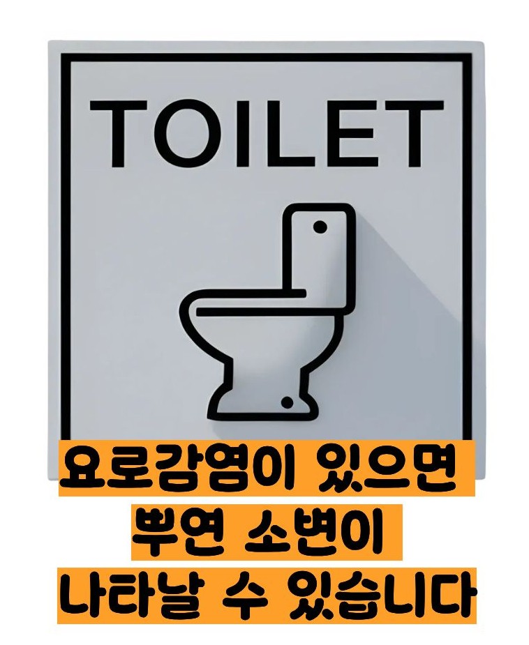 오줌이 탁한이유