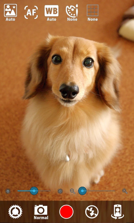 무음카메라 어플, 무음으로 고화질 사진 촬영하기