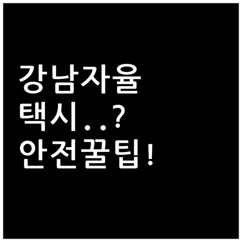 강남 자율주행 택시 안전성과 이용 시..