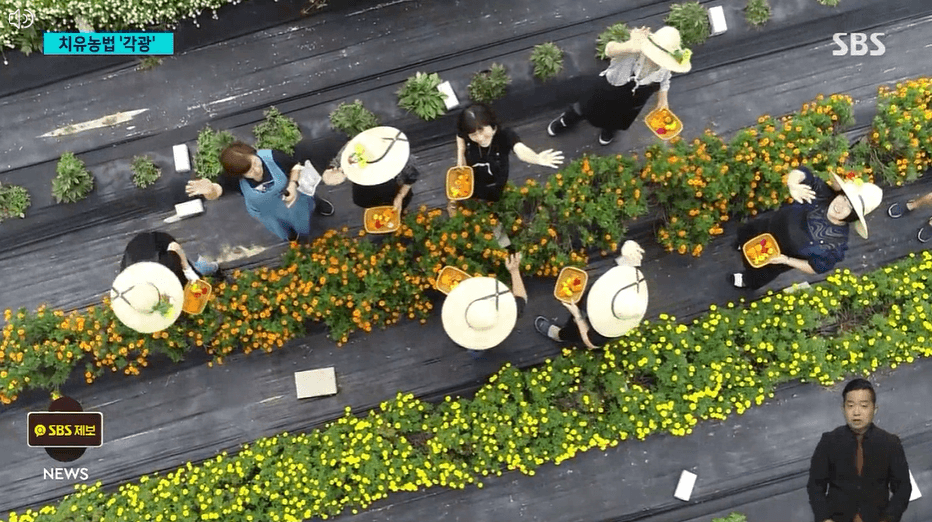 녹색처방전-우울감 낮추기-치유농원-치유농업프로그램-치유농장-치유농원-치유농업시설-치유농업법-장소-시간-가는길-안내