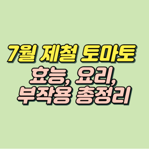 7월 제철음식 토마토