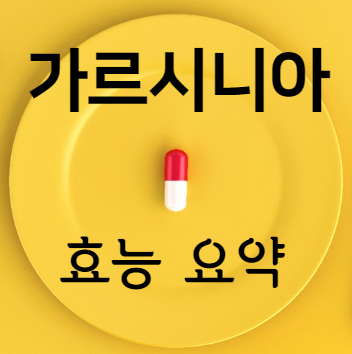 가르시니아 효능 요약