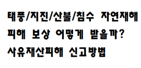 method of reporting property damage caused by natural disasters