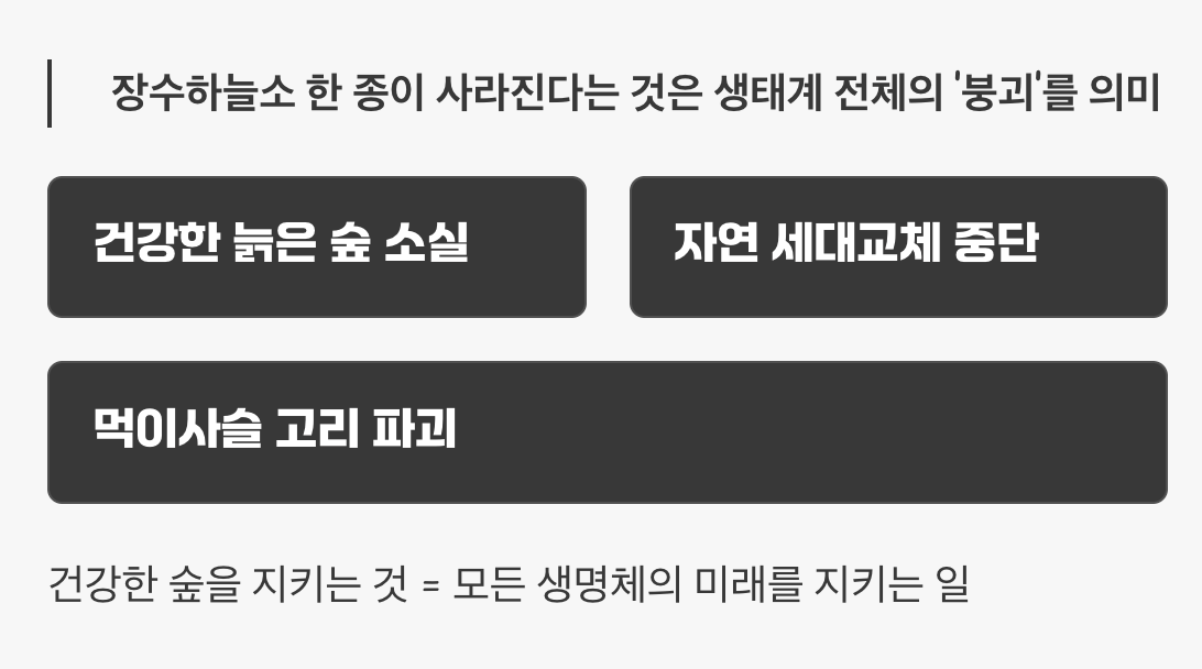 우리가 장수하늘소를 지켜야 하는 진짜 이유