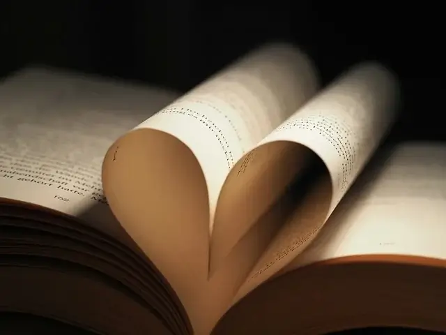 청소년상담사 자격증 취득 과정 &mdash; 단계별 준비 가이드