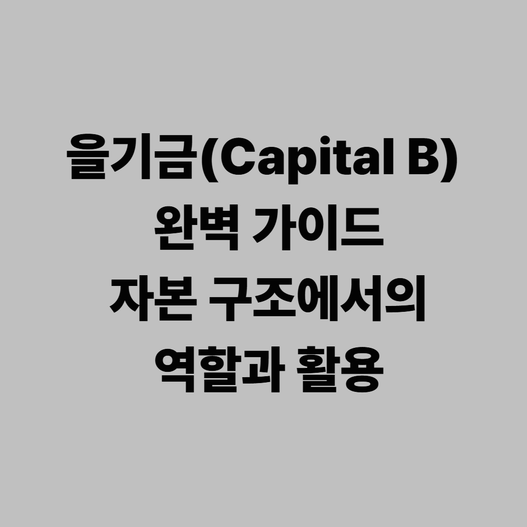 을기금(Capital B) 완벽 가이드 — 자본 구조에서의 역할과 활용
