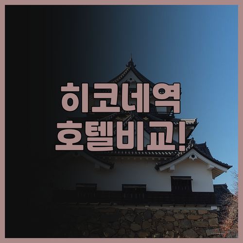 컴포트 호텔 히코네 추천 및 역 주변..