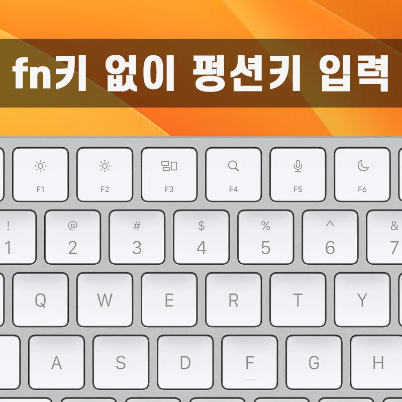 fn키 없이 펑션키 입력하기