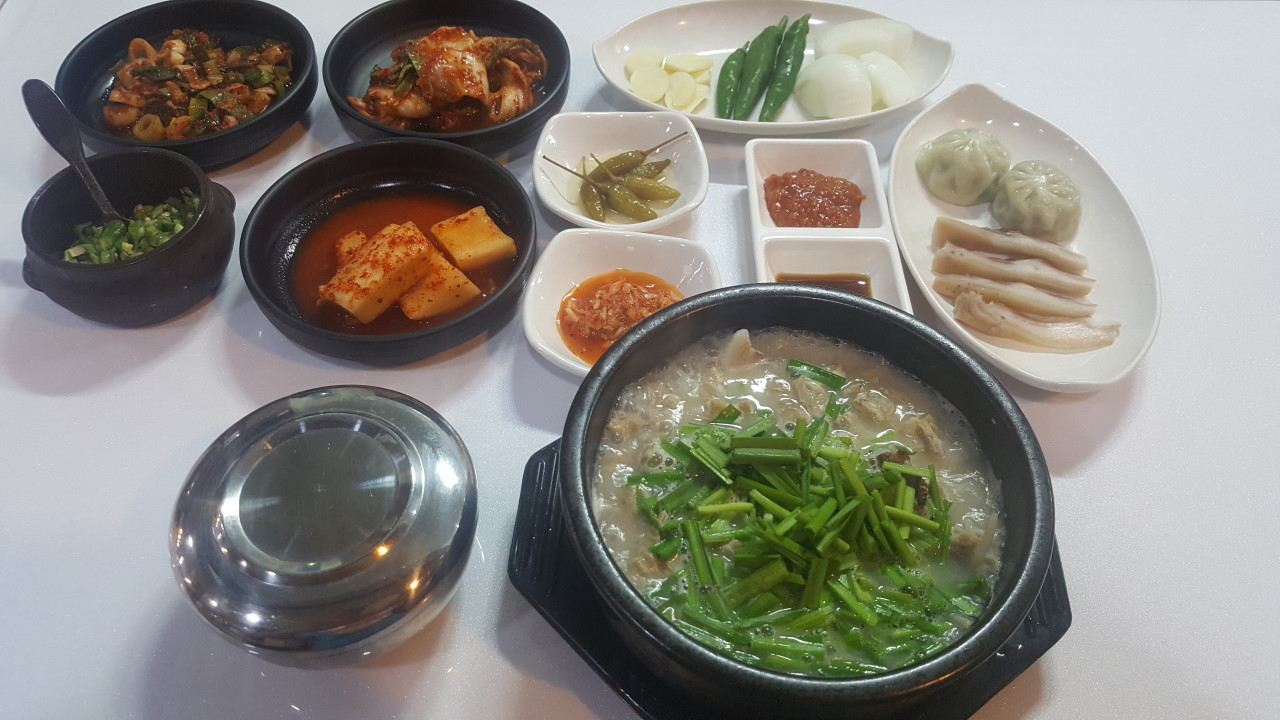 [4월 축제]화왕산 진달래❘4월 둘째주 주말 개화 상황, 방문 후기, 교통편, 맛집