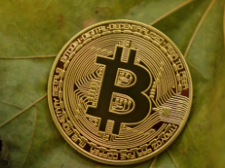 역대 미국 대선 발표 비트코인 영향 2024 예상 반응