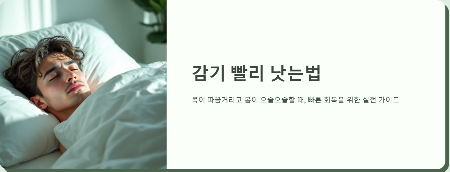 감기 빨리 낫는 법