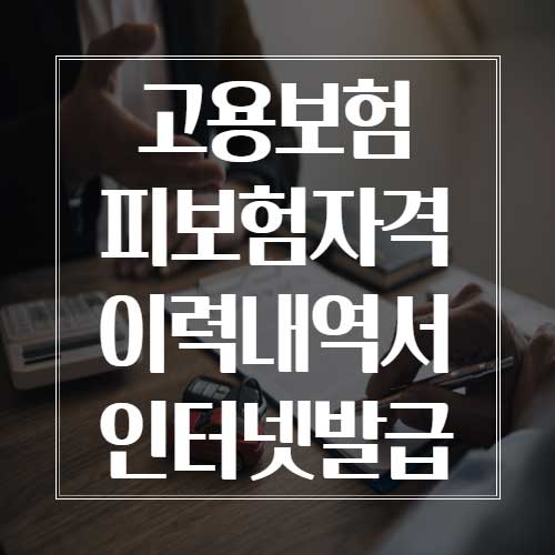 고용보험 피보험자격 이력내역서 인터넷발급