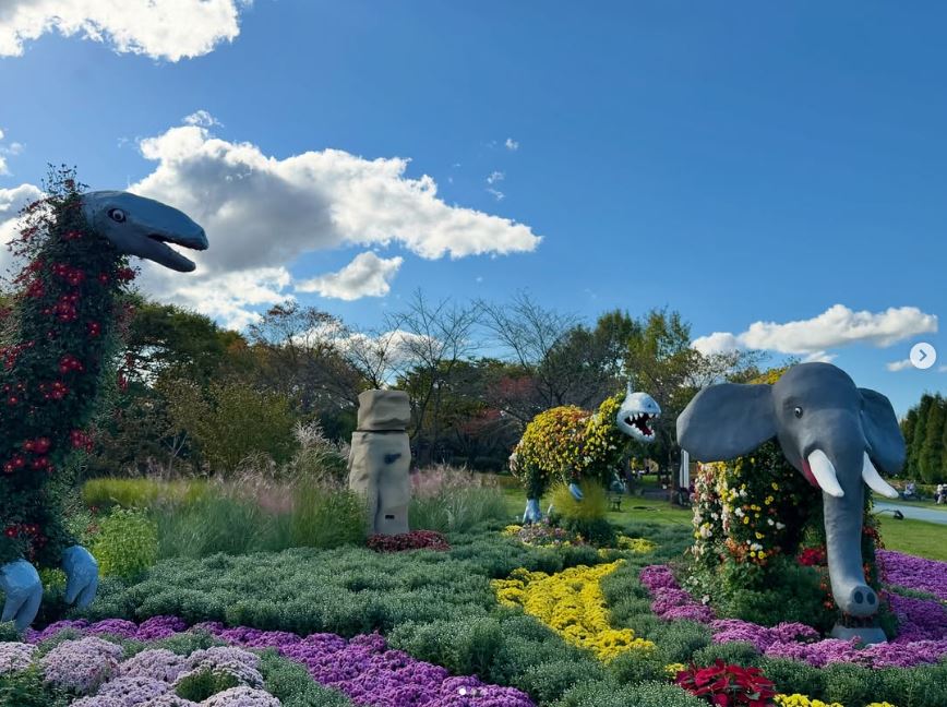 드림파크 국화 쥬라기월드