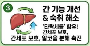 돌나물 효능