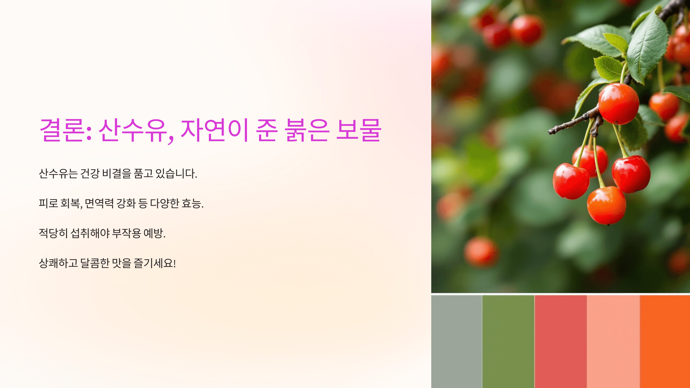 산수유 효능과 관련된 사진입니다.