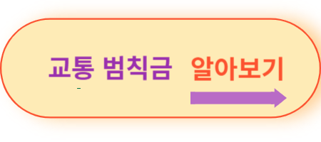 교통-범칙금-알아보기