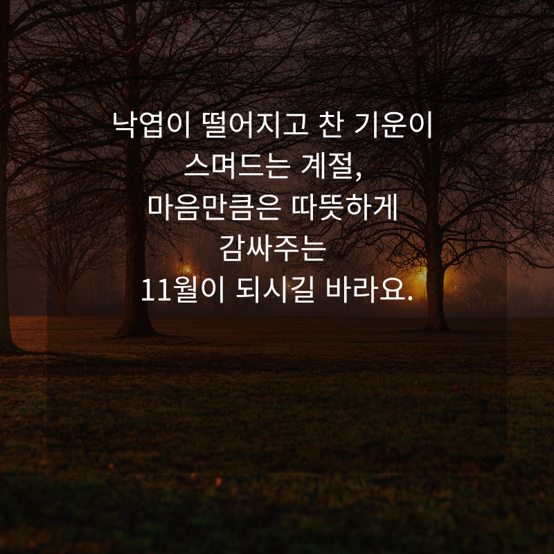 11월 인사말 문구 이미지 가을 겨울 인사글 모음집