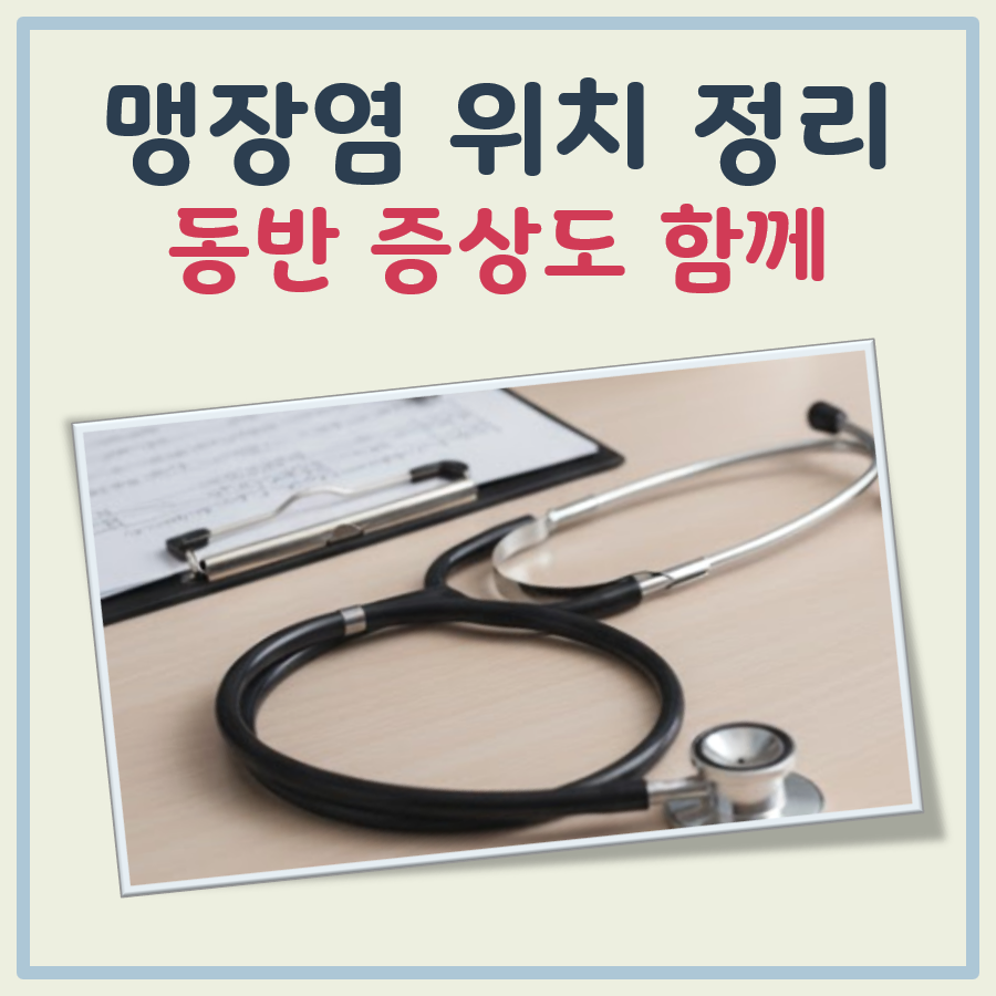 맹장염 위치 대표 이미지