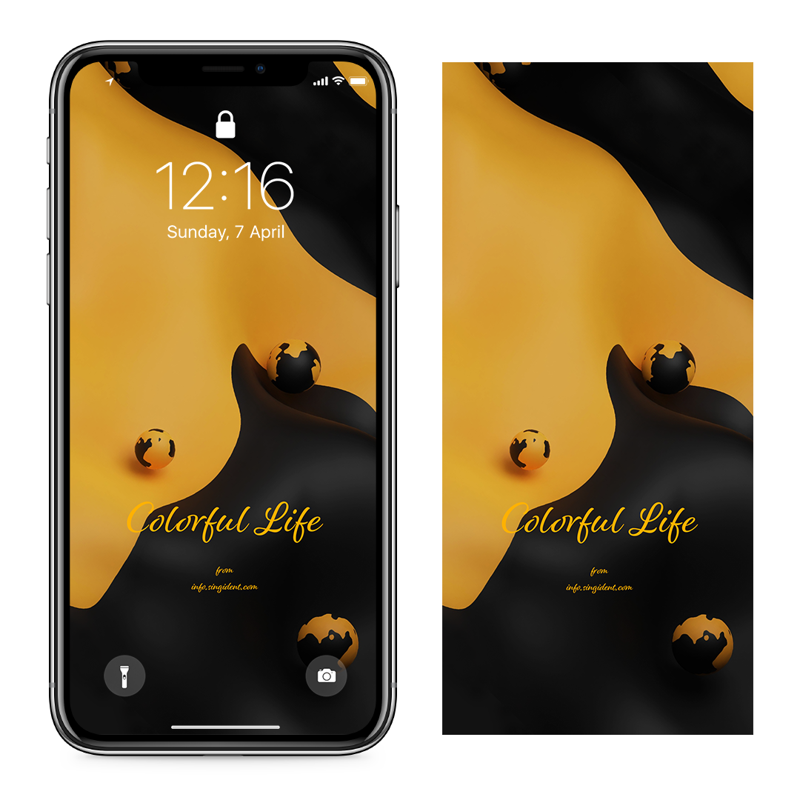 08 노란색과 검정색 C - Colorful Life 아이폰검정배경화면