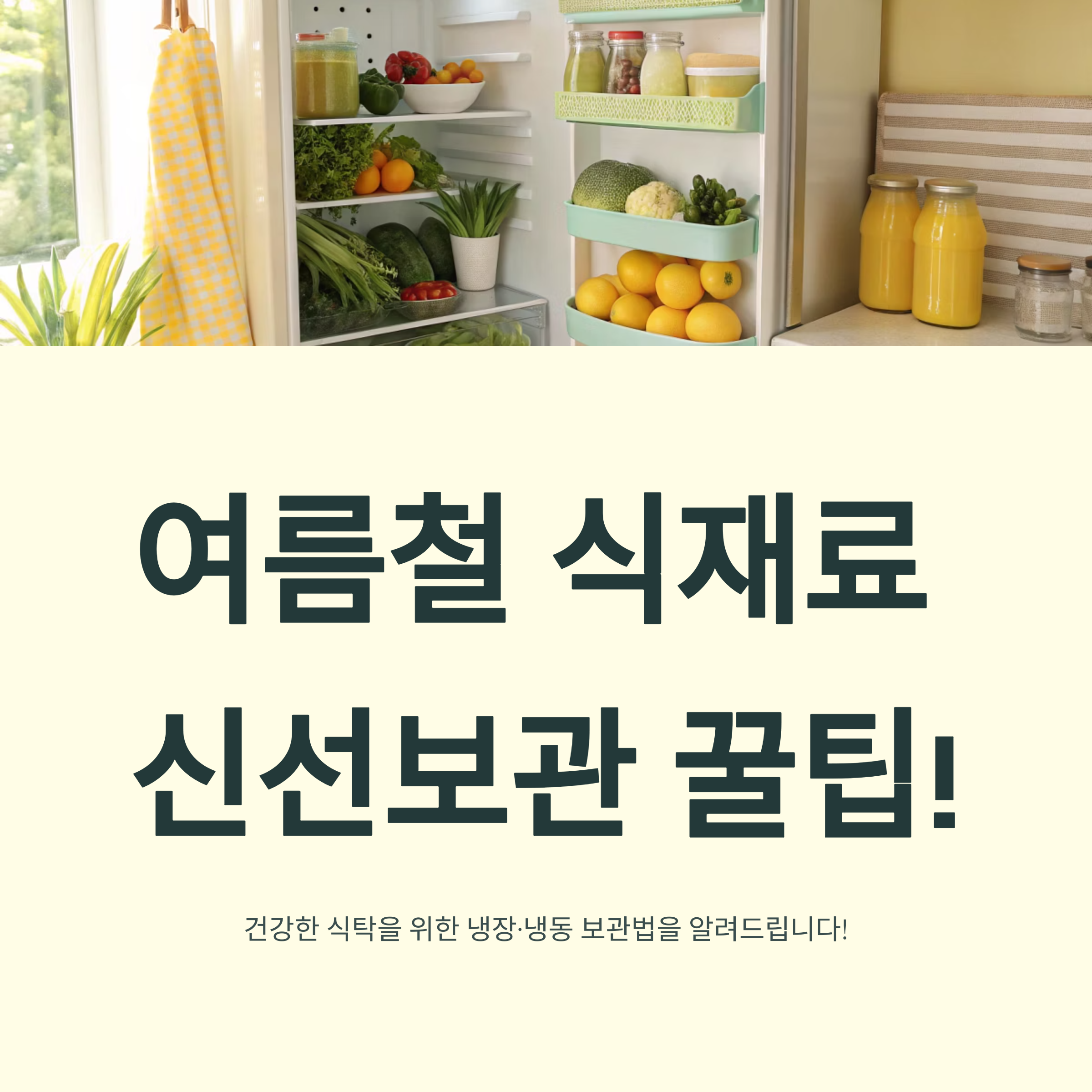 여름철 냉장·냉동 식재료 보관법, 신선함 유지하는 비결!