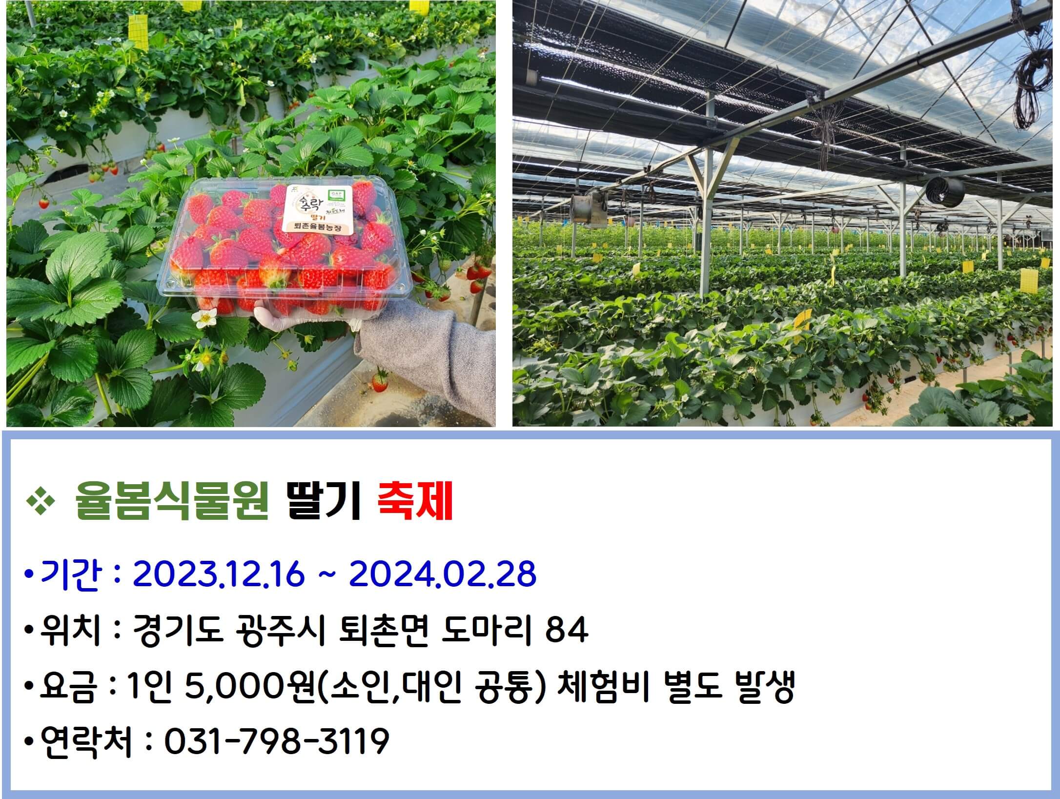율봄식물원 딸기축제