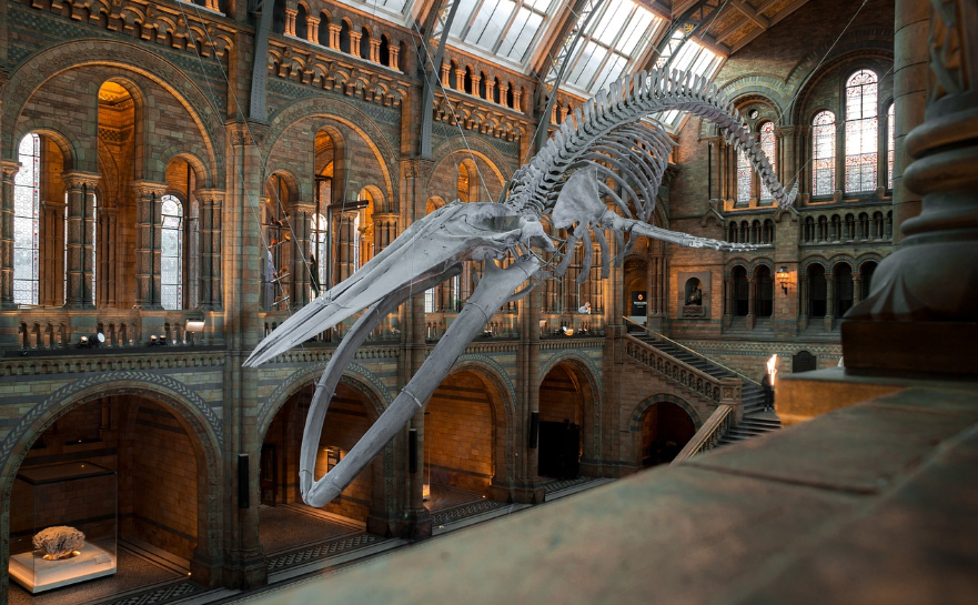 청년문화예술패스