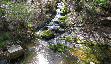 태백 한강발원지 검룡소 여행 추천