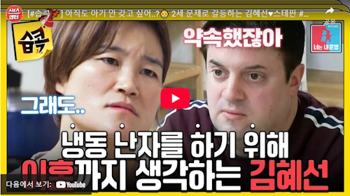 개그맨 김혜선 남편 스테판 결혼 근황
