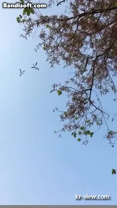 img.webp?credential=yqXZFxpELC7KVnFOS48ylbz2pIh7yKj8&expires=1767193199&allow_ip=&allow_referer=&signature=VIfI4K3Oj%2Fc5iO8FsbW7GPckLGs%3D