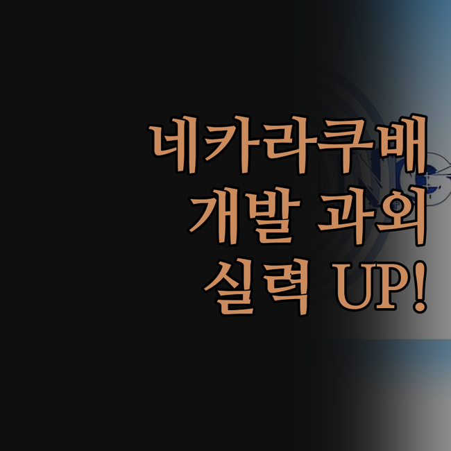 네카라쿠배 개발자 과외, 나만을 위한