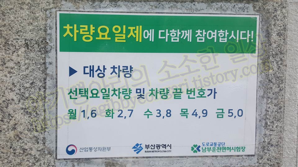 차량요일제
