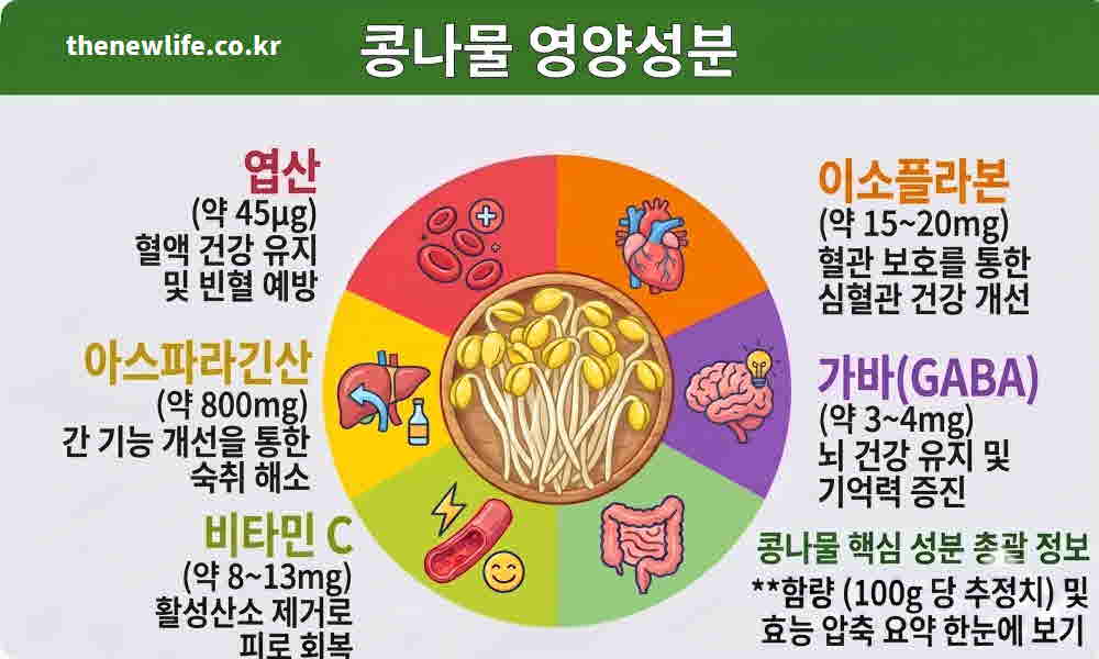 콩나물 영양성분