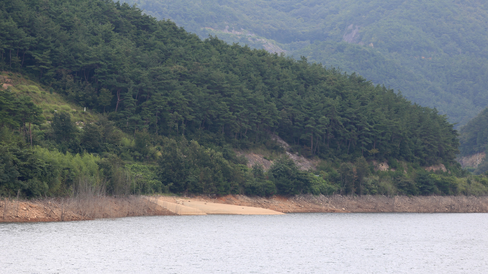 강진 삼흥리 도요지