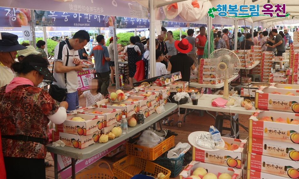 제15회-향수옥천포도복숭아축제