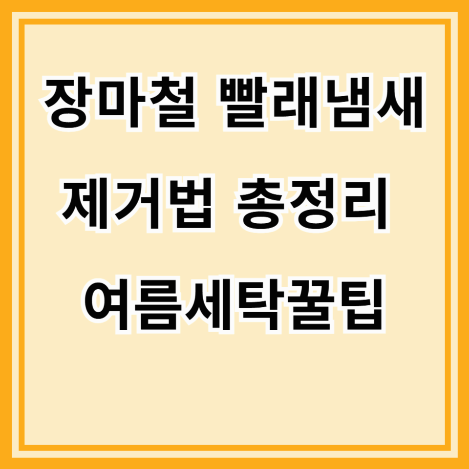 여름 옷 냄새 제거 꿀팁 총정리 🌬️ 장마철 빨래 냄새 걱정 끝!