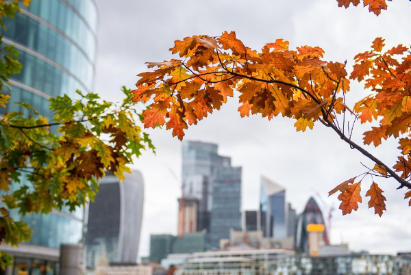 가을 단풍 명소 관련 사진