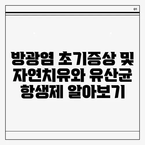 방광염 초기증상 및 자연치유와 유산균 항생제 알아보기