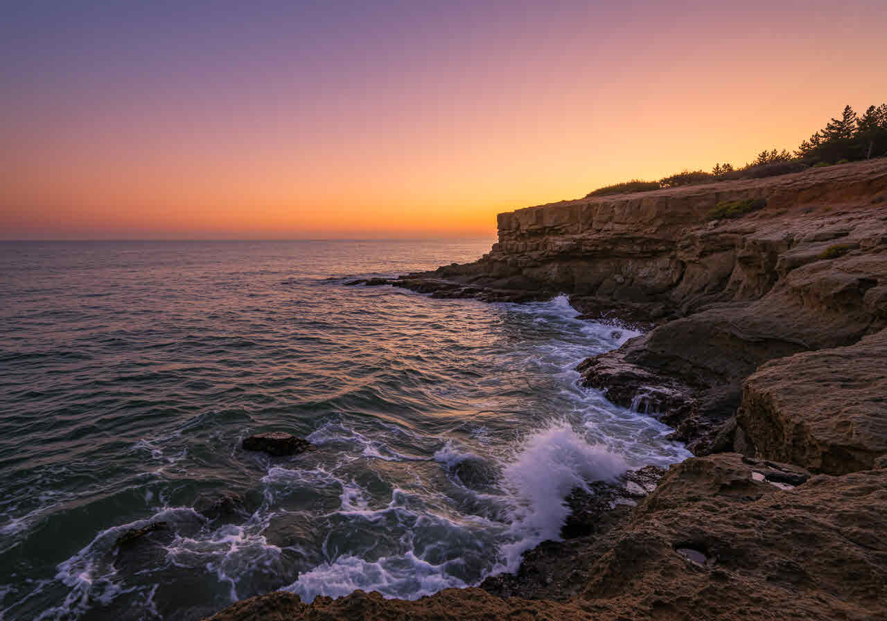 너무 조용한 하루, 그래서 더 외로운