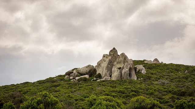 호주 라릿자 국립공원 산 풍경