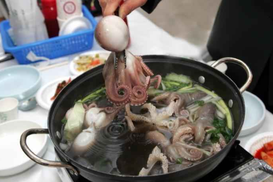 서천 동백꽃 주꾸미 축제 기간