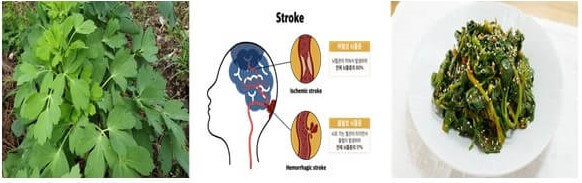 중풍 예방을 위한 방풍나물