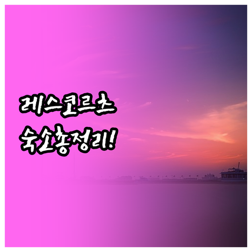 바르셀로나 레스 코르츠 지역 숙소별 ..