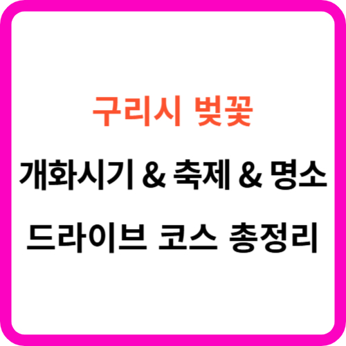 구리 벚꽃 개화시기 명소 축제 드라이브 코스 총정리 썸네일