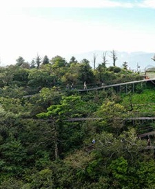 발왕산케이블카