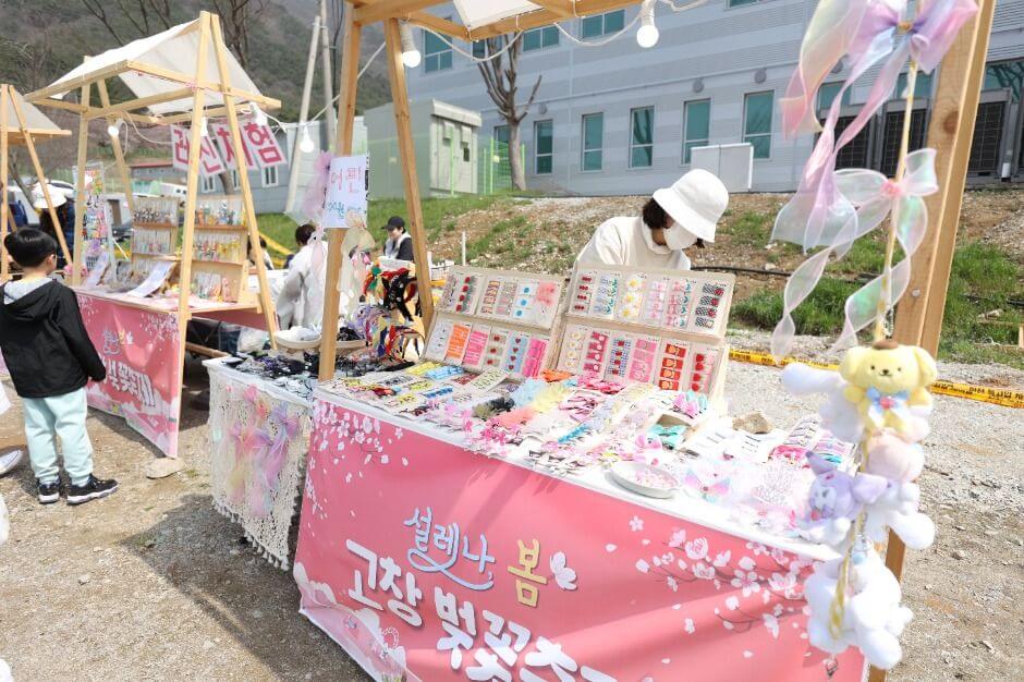 고창 벚꽃 축제 2026 완벽 가이드