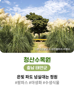 청산수목원