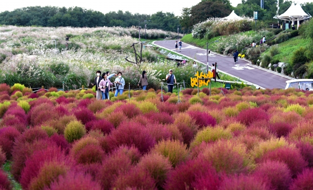 인생 화보 쌉가능! 커플 스냅샷 찍기 좋은 야외 성지 BEST 3