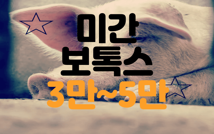 돈