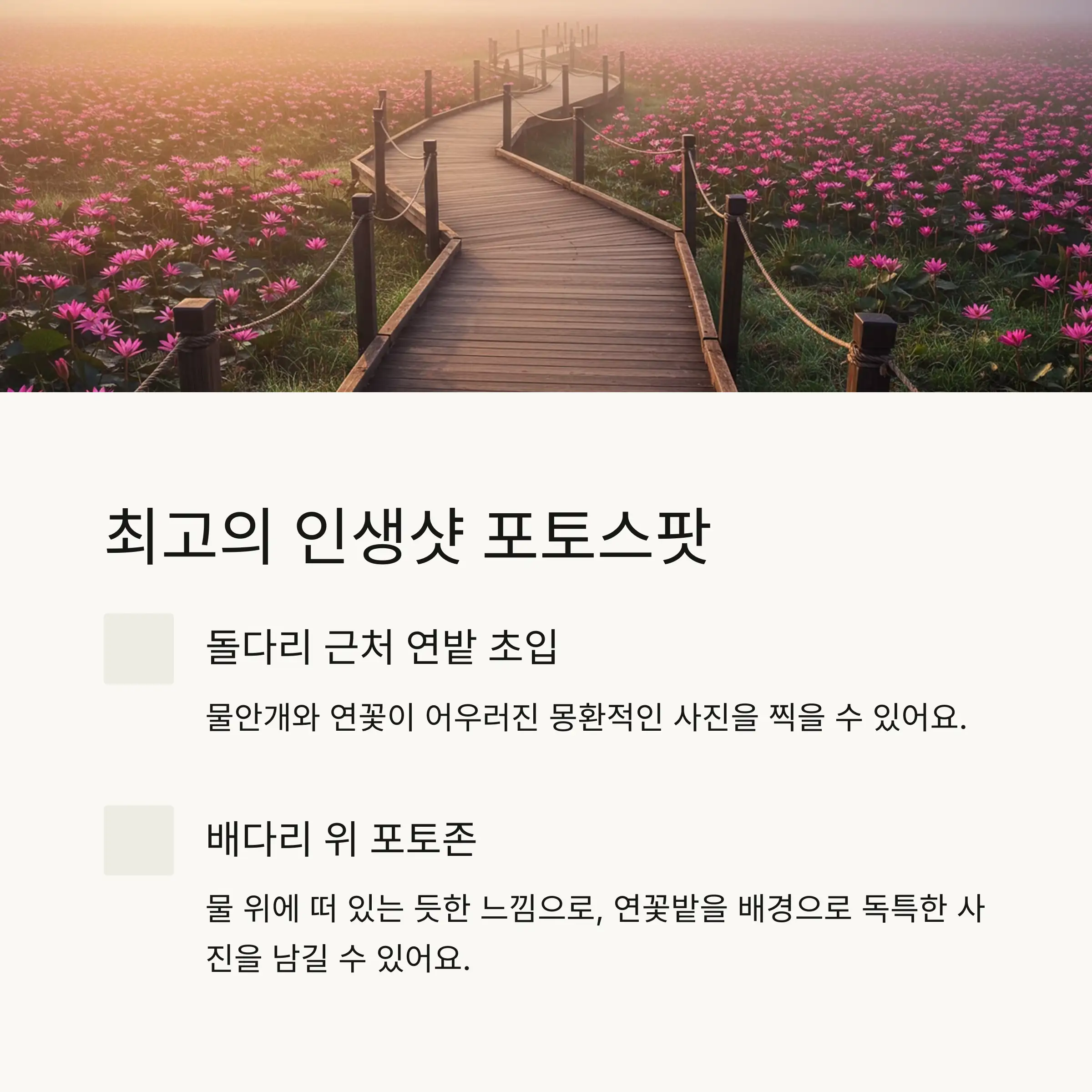 🚶 효율적인 동선과 코스 추천