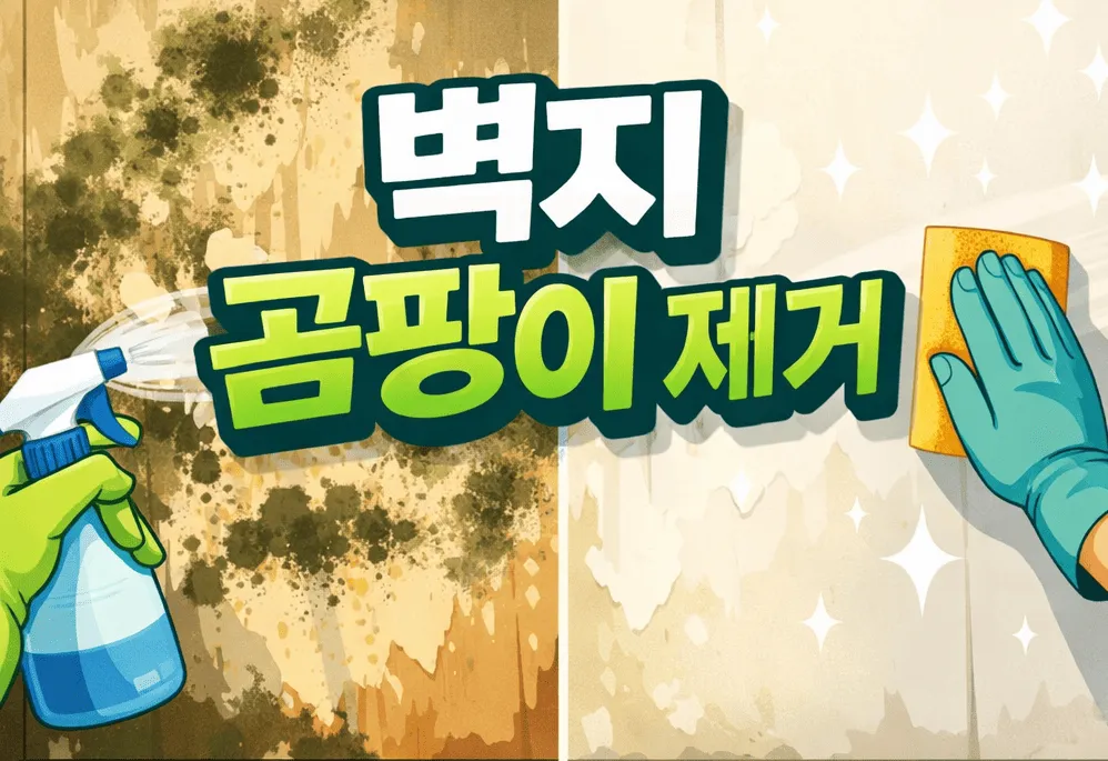 벽지 곰팡이 제거
